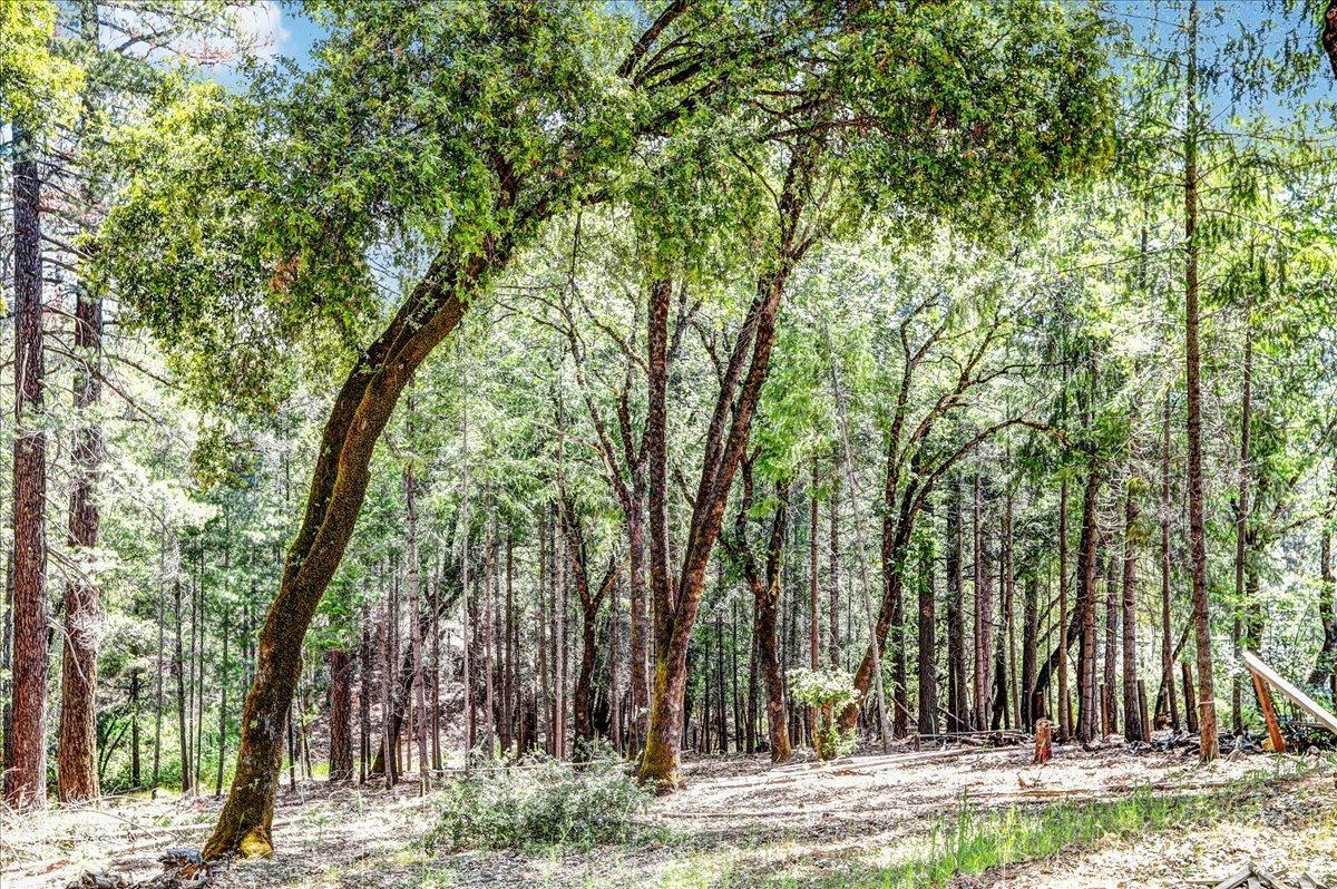 Rollins Lake Road, Colfax, California image 9