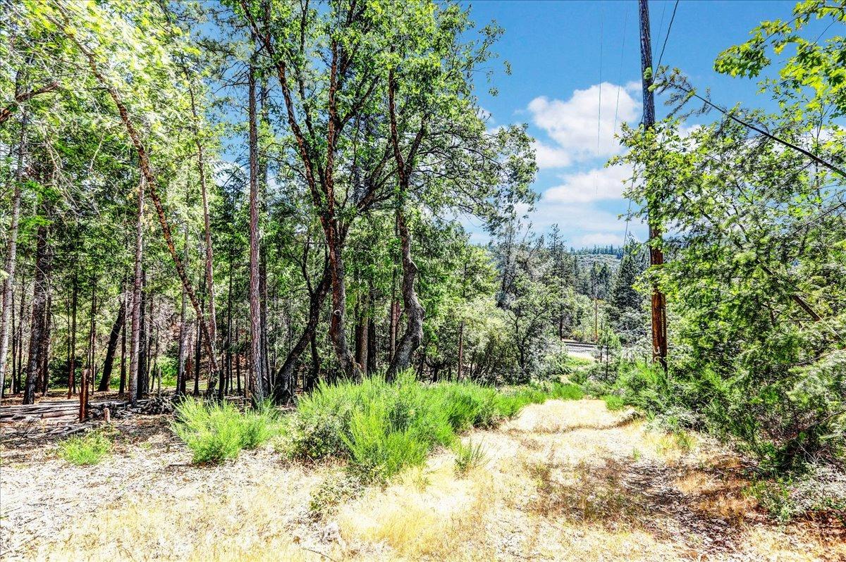 Rollins Lake Road, Colfax, California image 19