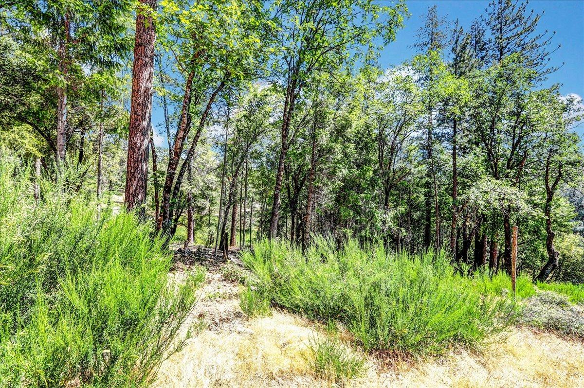 Rollins Lake Road, Colfax, California image 17