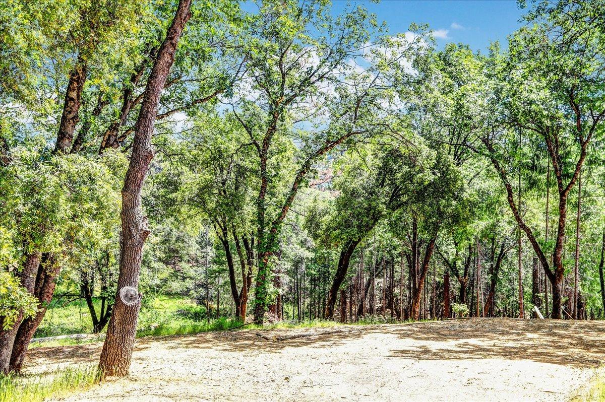 Rollins Lake Road, Colfax, California image 3