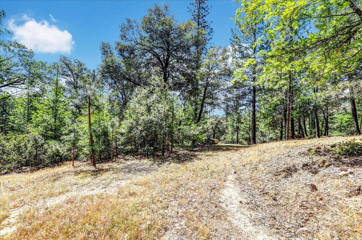 Rollins Lake Road, Colfax, California image 16