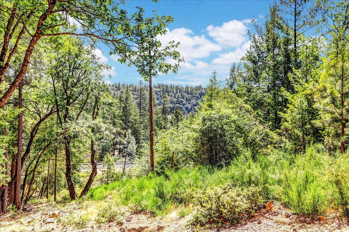 Rollins Lake Road, Colfax, California image 13