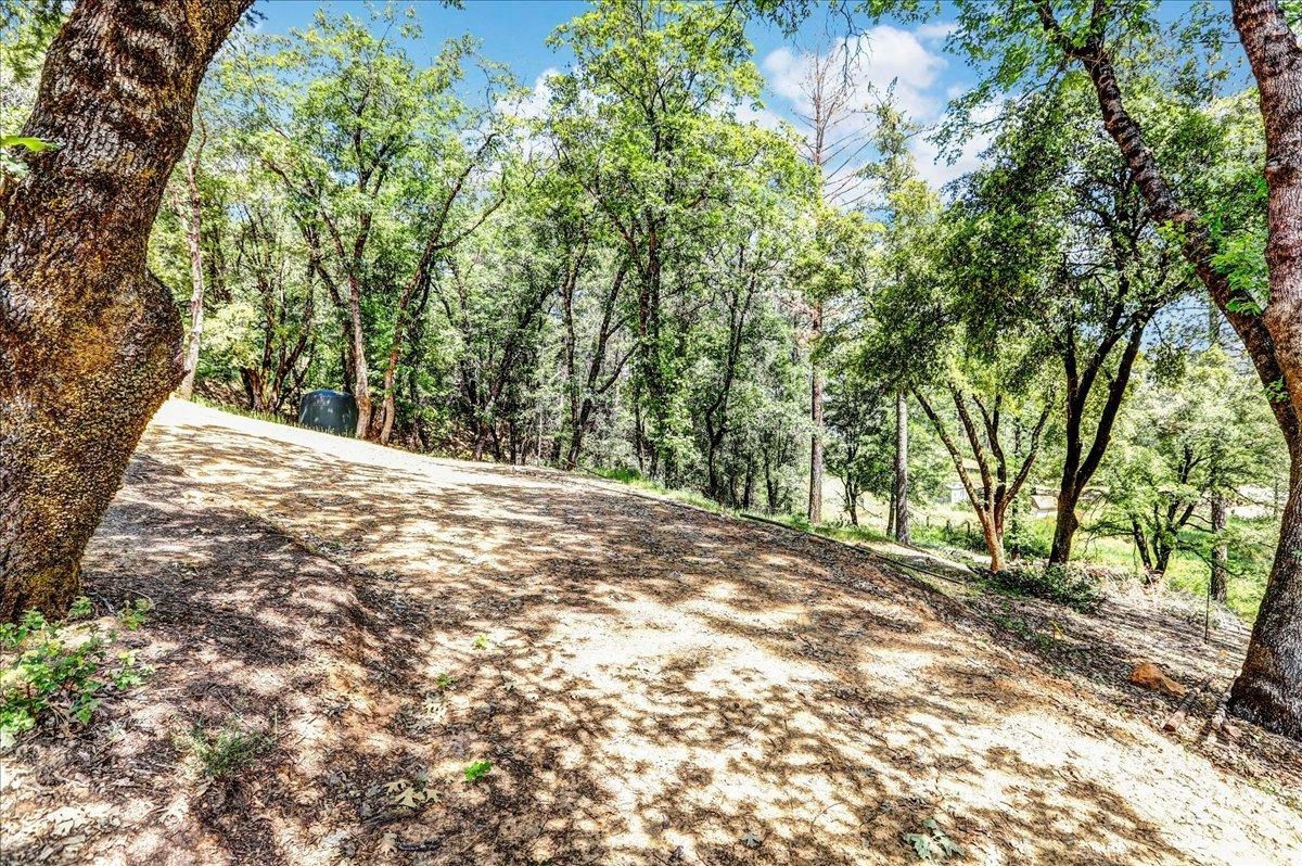 Rollins Lake Road, Colfax, California image 14