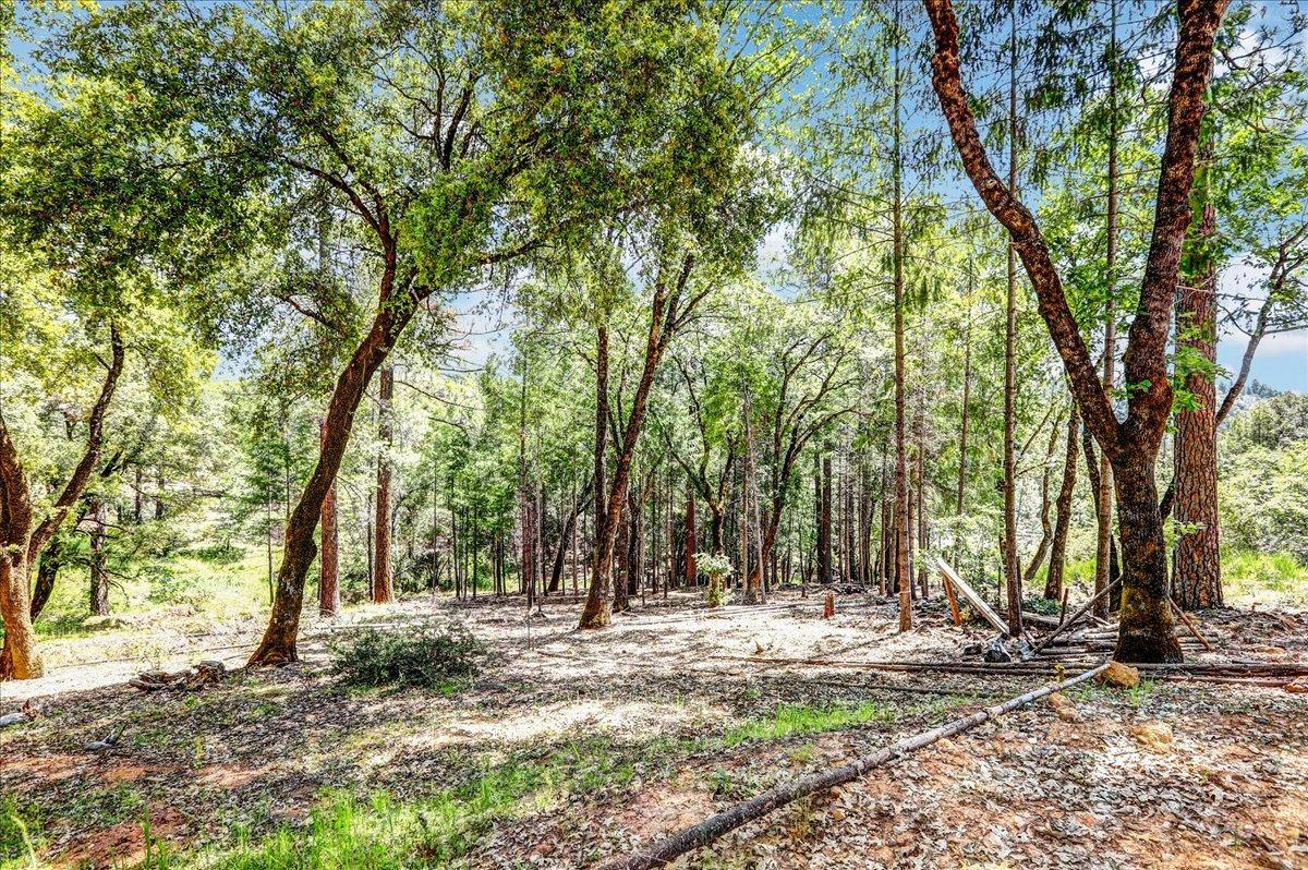 Rollins Lake Road, Colfax, California image 34