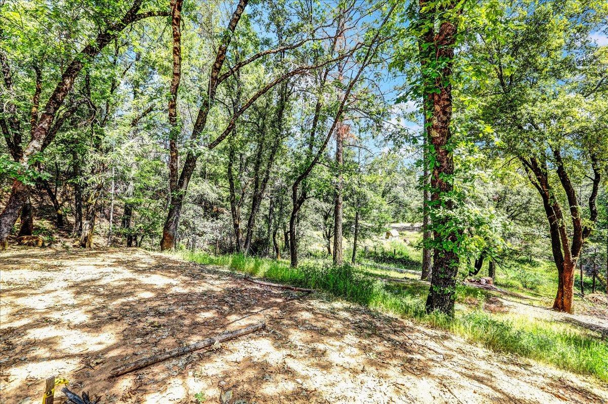 Rollins Lake Road, Colfax, California image 6