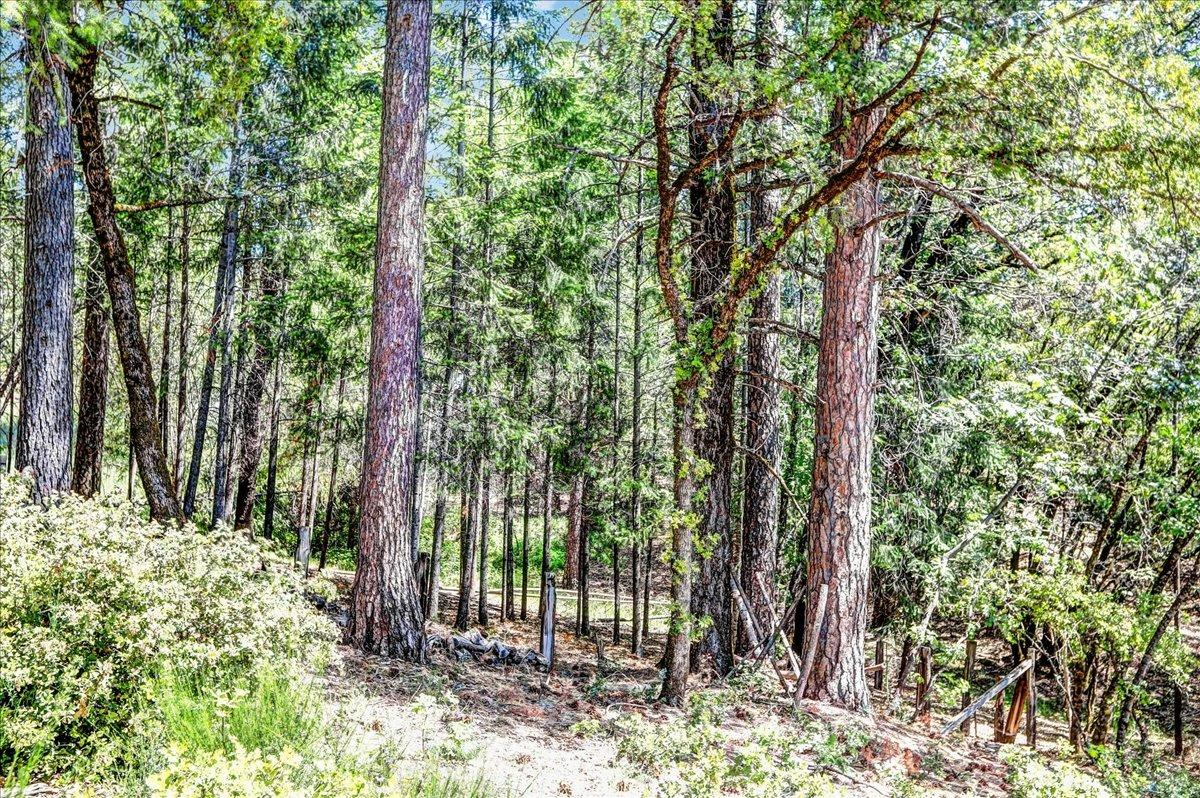 Rollins Lake Road, Colfax, California image 32
