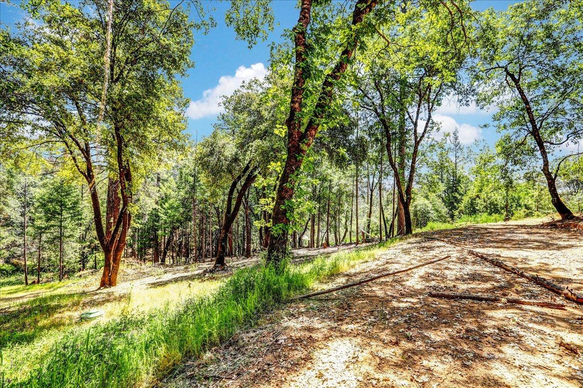 Rollins Lake Road, Colfax, California image 35