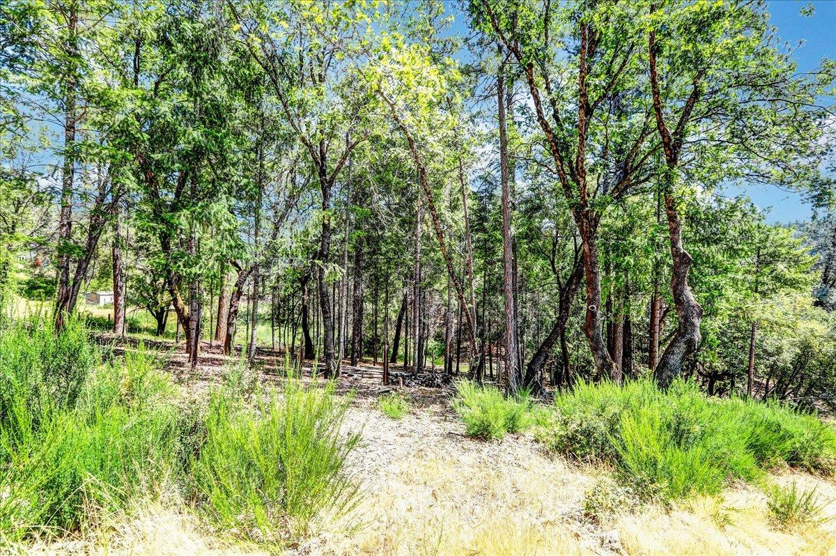 Rollins Lake Road, Colfax, California image 18