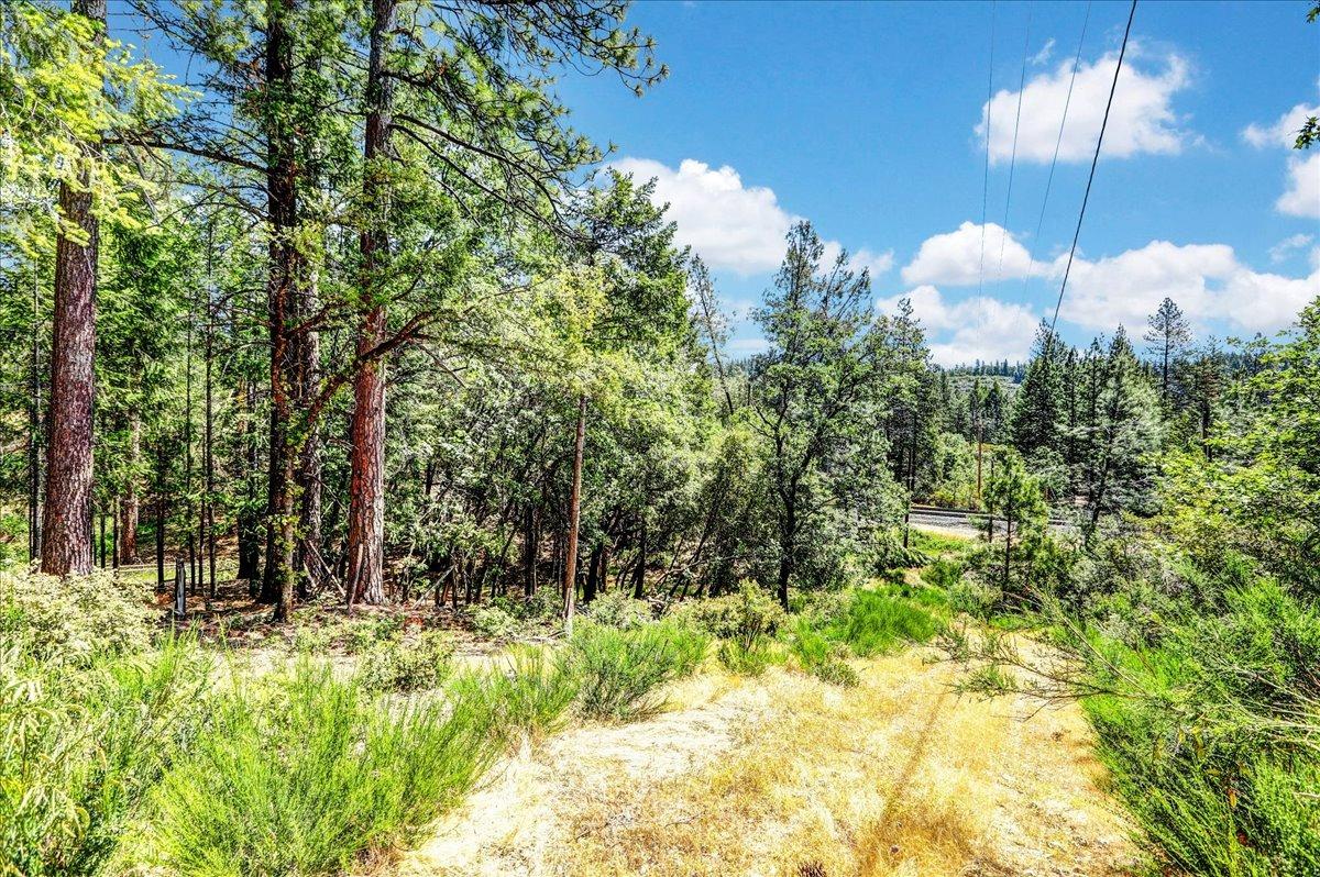 Rollins Lake Road, Colfax, California image 29