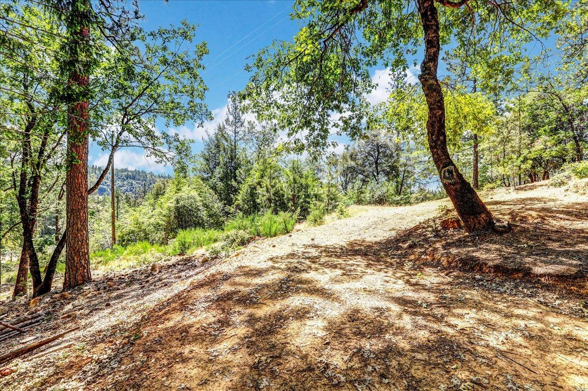 Rollins Lake Road, Colfax, California image 11