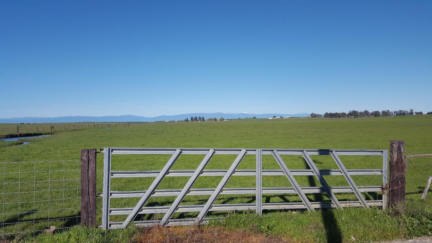 2590 Cattle Drive Road, Corning, CA 96021