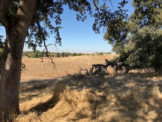 Lot 44 Murieta Hills Drive, Rancho Murieta, California image 5