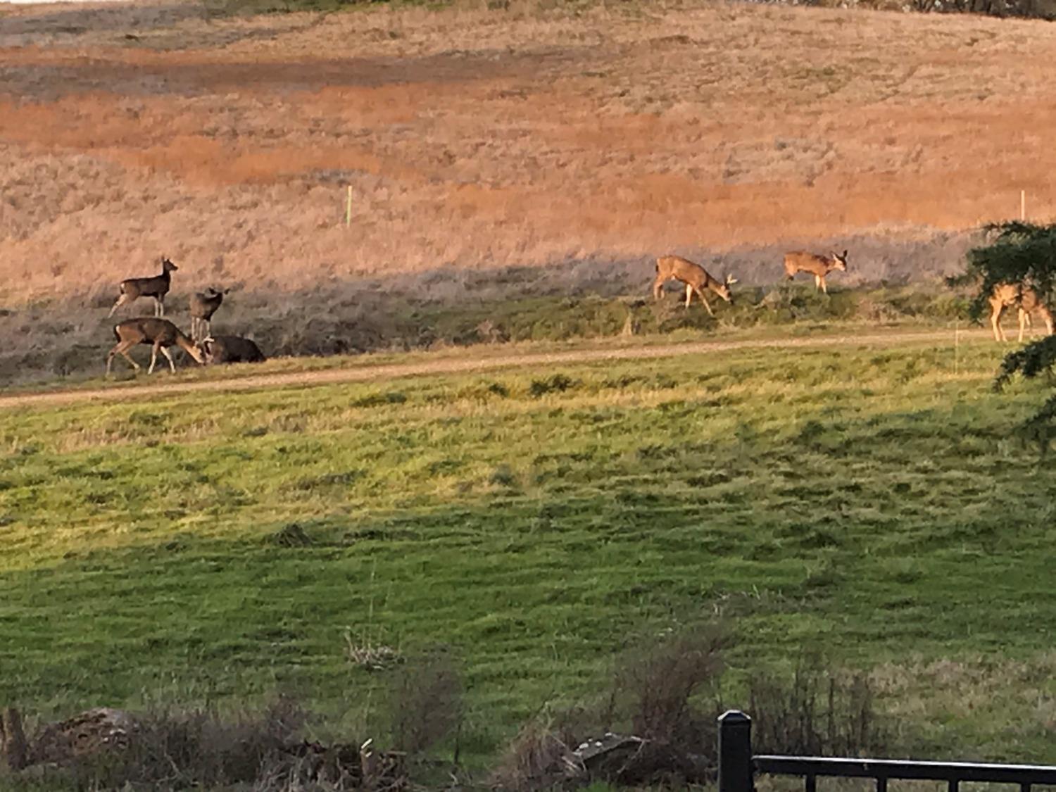 Lot 51 Murieta Hills Drive, Rancho Murieta, California image 3