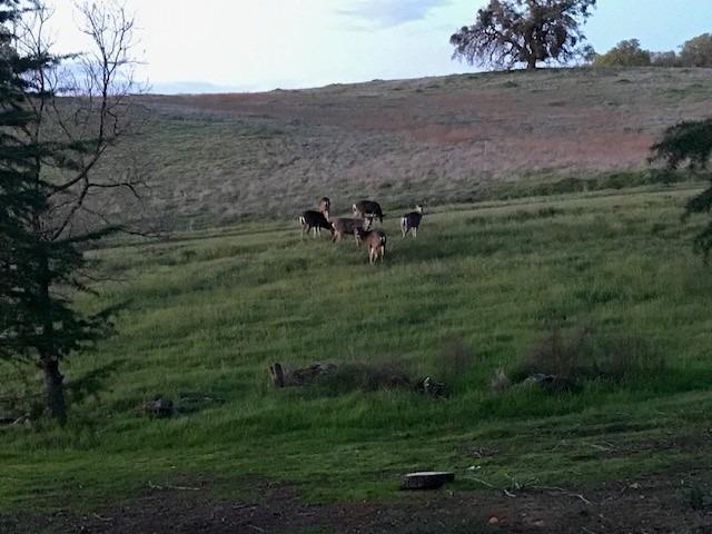 Lot 57 Murieta Hills Drive, Rancho Murieta, California image 3