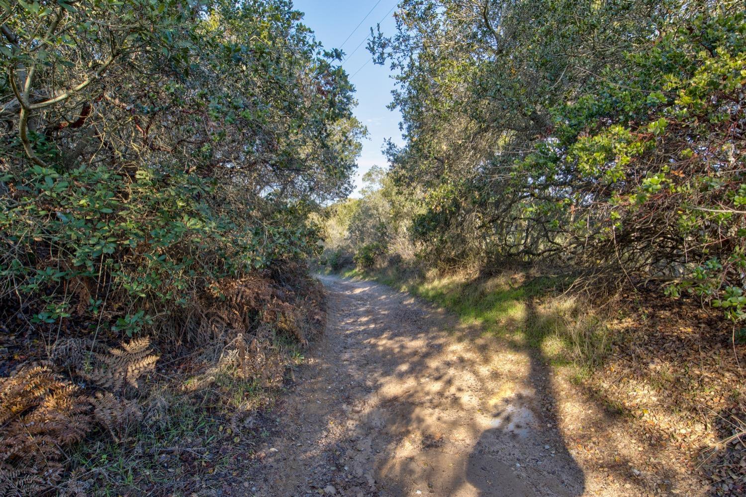 Detail Gallery Image 25 of 48 For 0 Vista Dr, Salinas,  CA 93907 - – Beds | – Baths