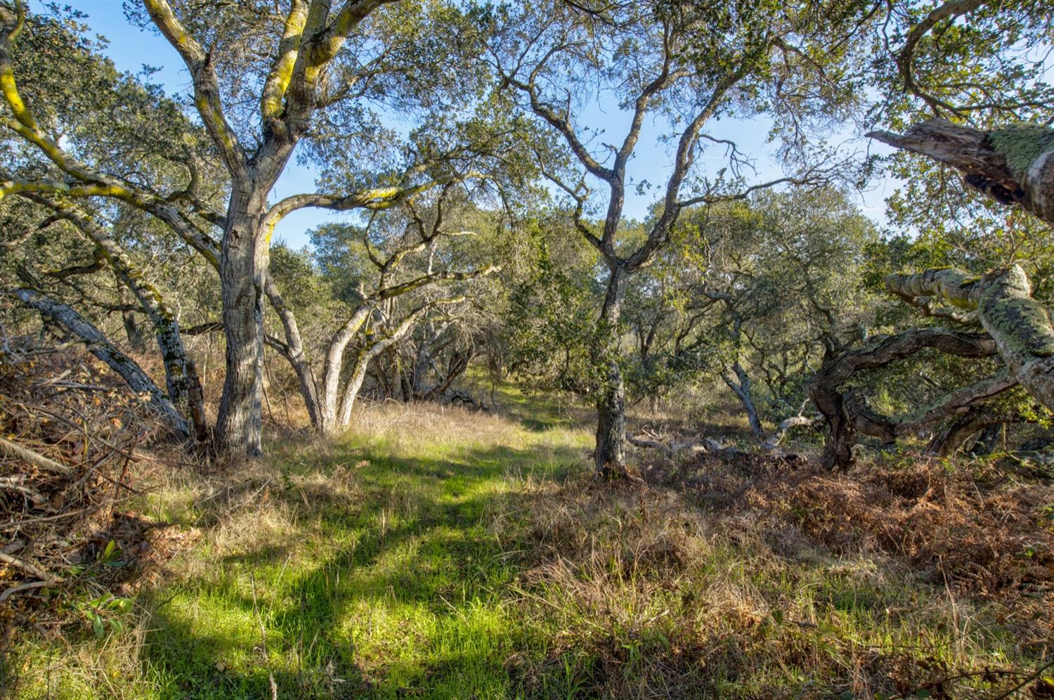 Detail Gallery Image 29 of 48 For 0 Vista Dr, Salinas,  CA 93907 - – Beds | – Baths