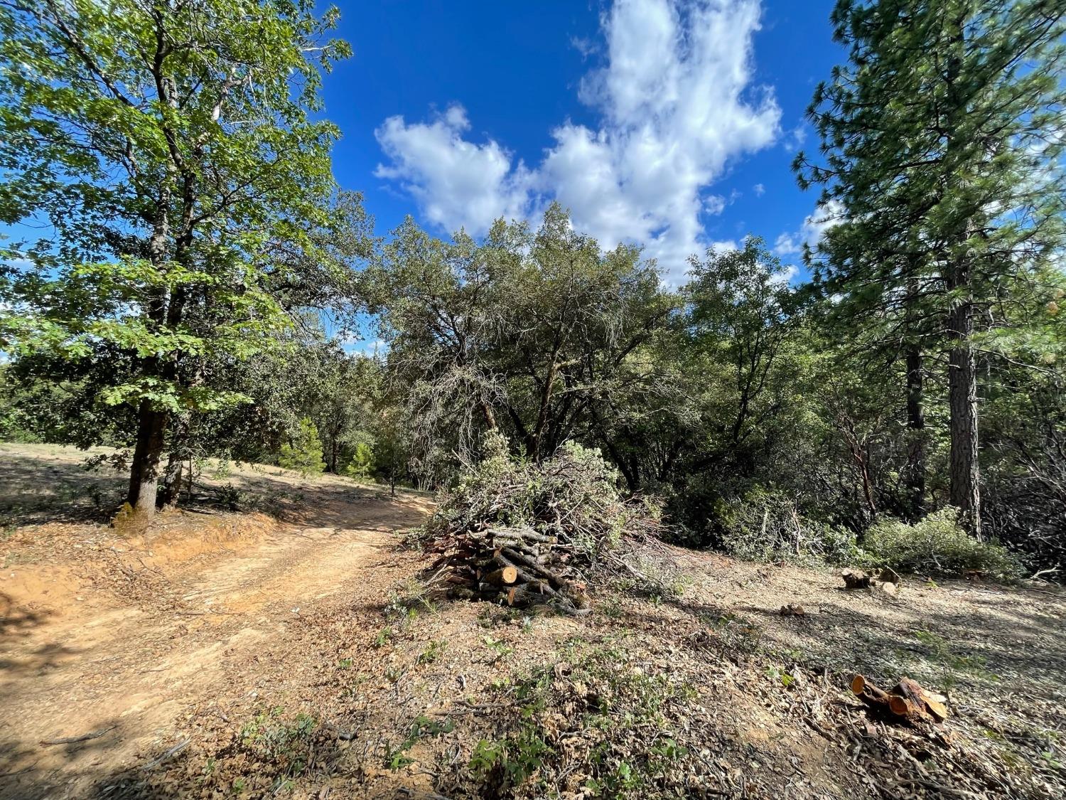 Detail Gallery Image 3 of 54 For 0 Loggers Trail, Colfax,  CA 95713 - – Beds | – Baths