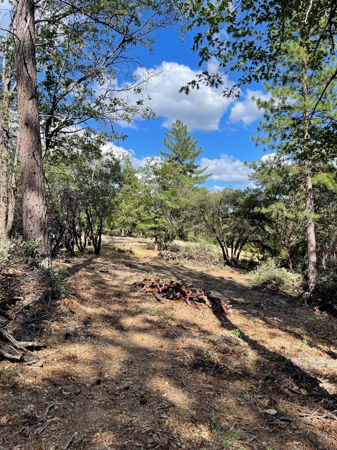 Detail Gallery Image 28 of 54 For 0 Loggers Trail, Colfax,  CA 95713 - – Beds | – Baths