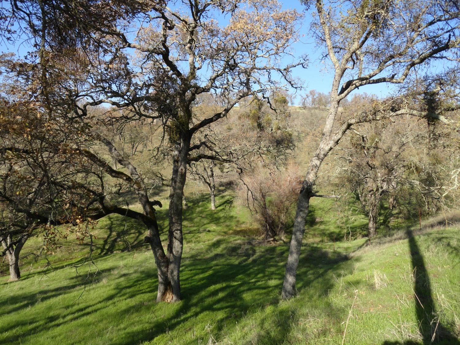 Photo of 3686 Moore Ct in Valley Springs, CA