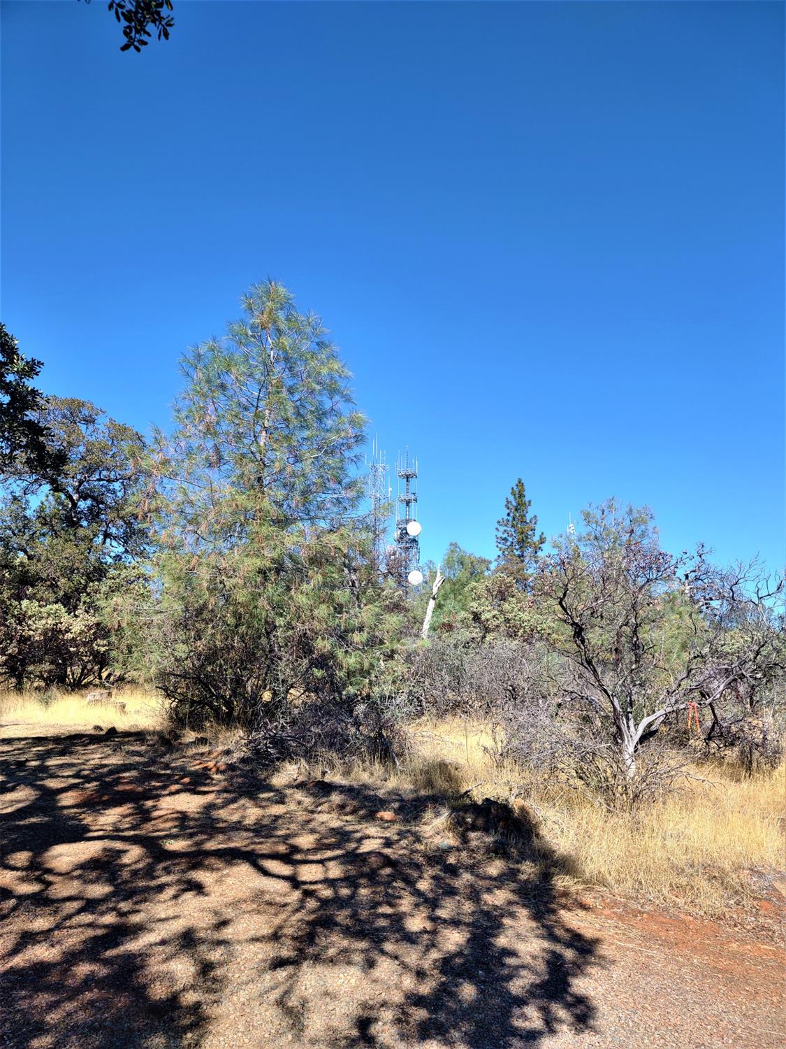 Photo of 17878 Satellite Dr in Grass Valley, CA