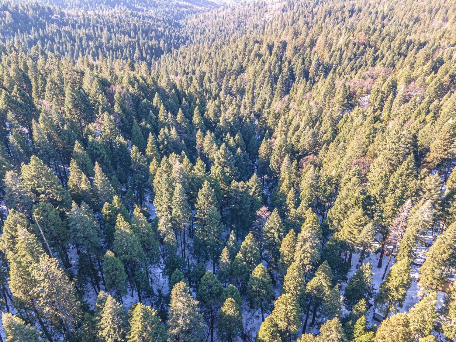 Photo of Sec 36 11 12 in Pollock Pines, CA