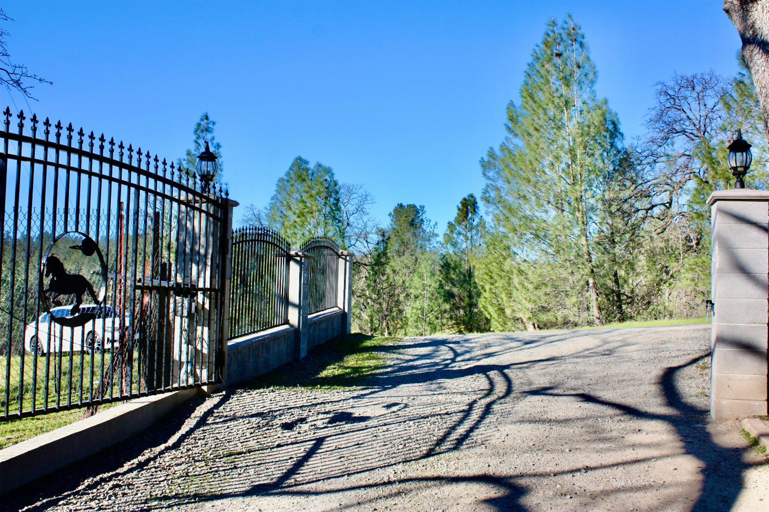 Oakridge Road, Corning, California image 6