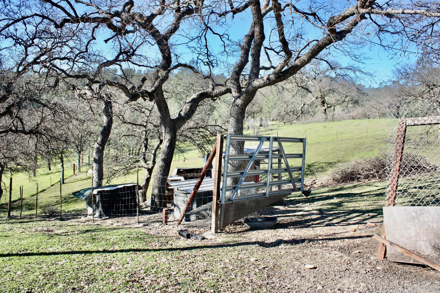 Oakridge Road, Corning, California image 36