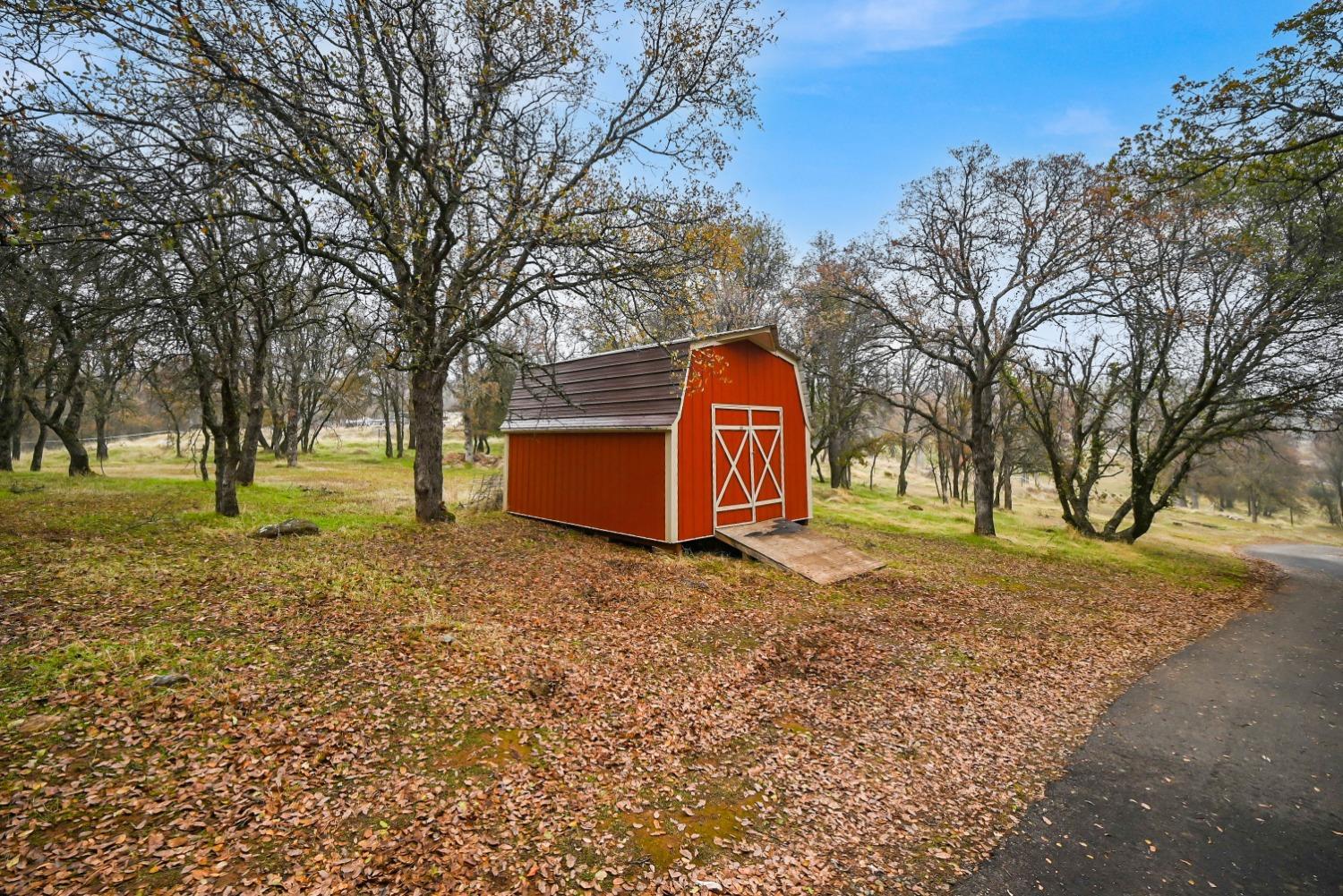 Dry Creek Lane, Browns Valley, California image 44