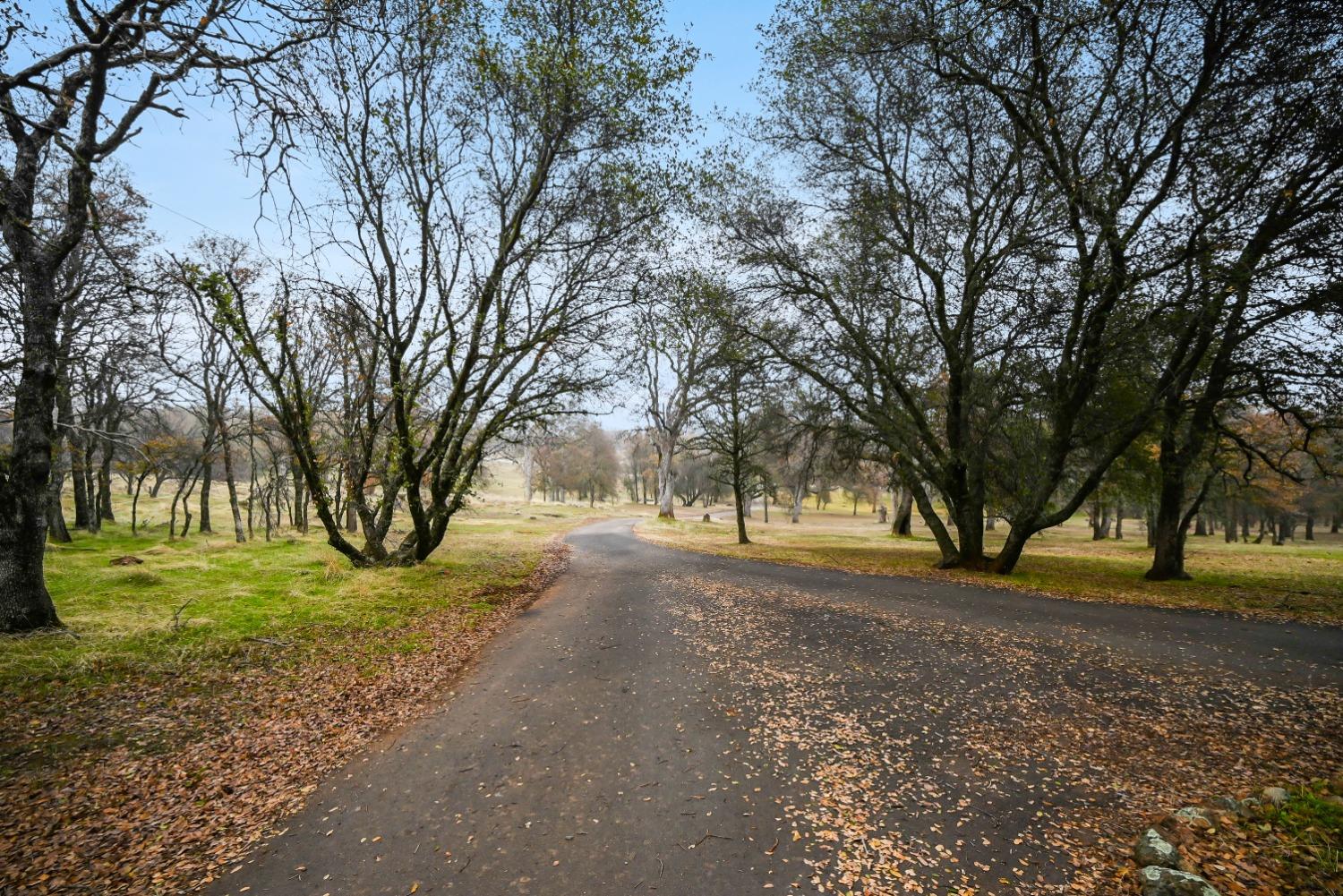 Dry Creek Lane, Browns Valley, California image 3