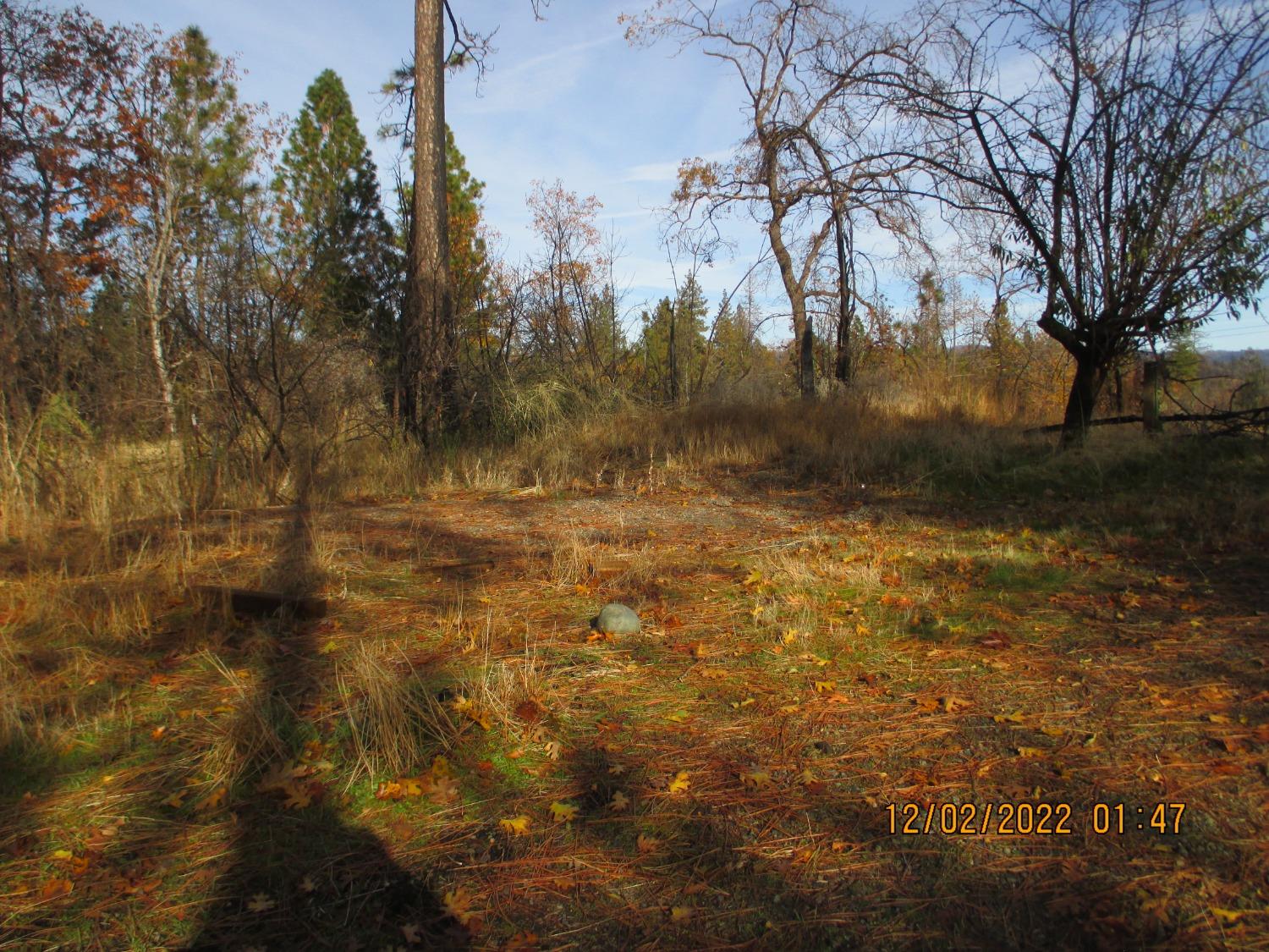 Feather Ridge Way, Berry Creek, California image 11