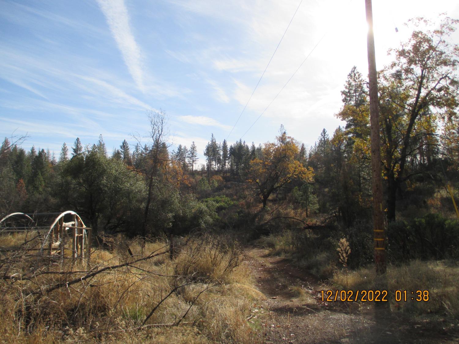 Feather Ridge Way, Berry Creek, California image 3