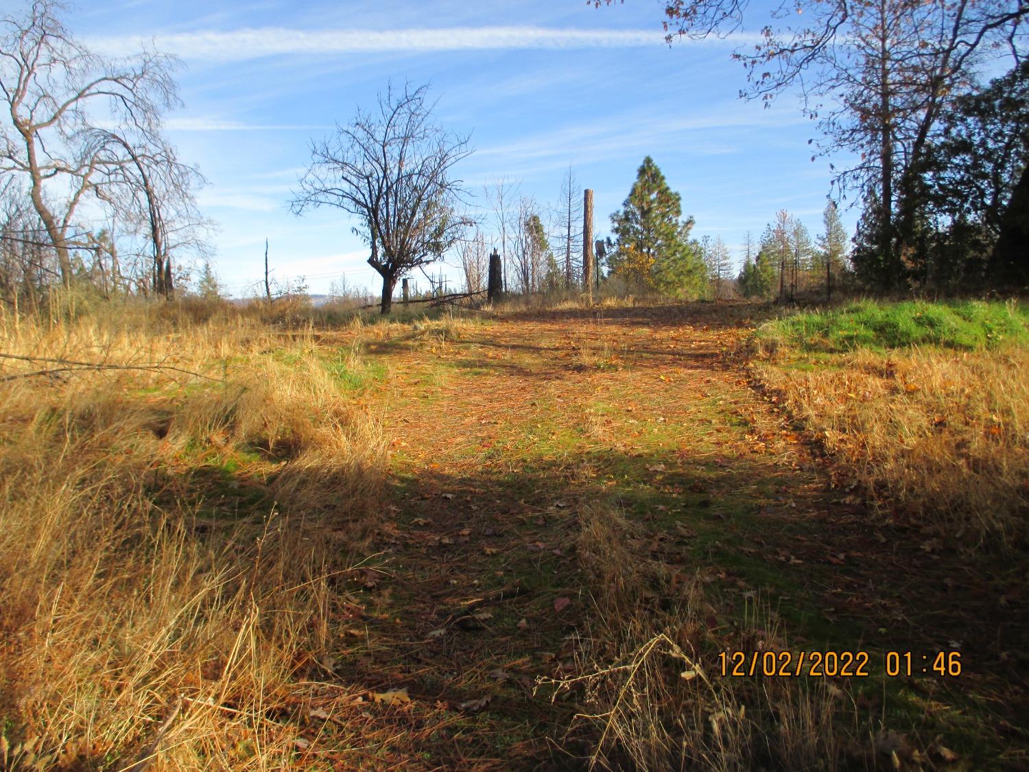 Feather Ridge Way, Berry Creek, California image 9