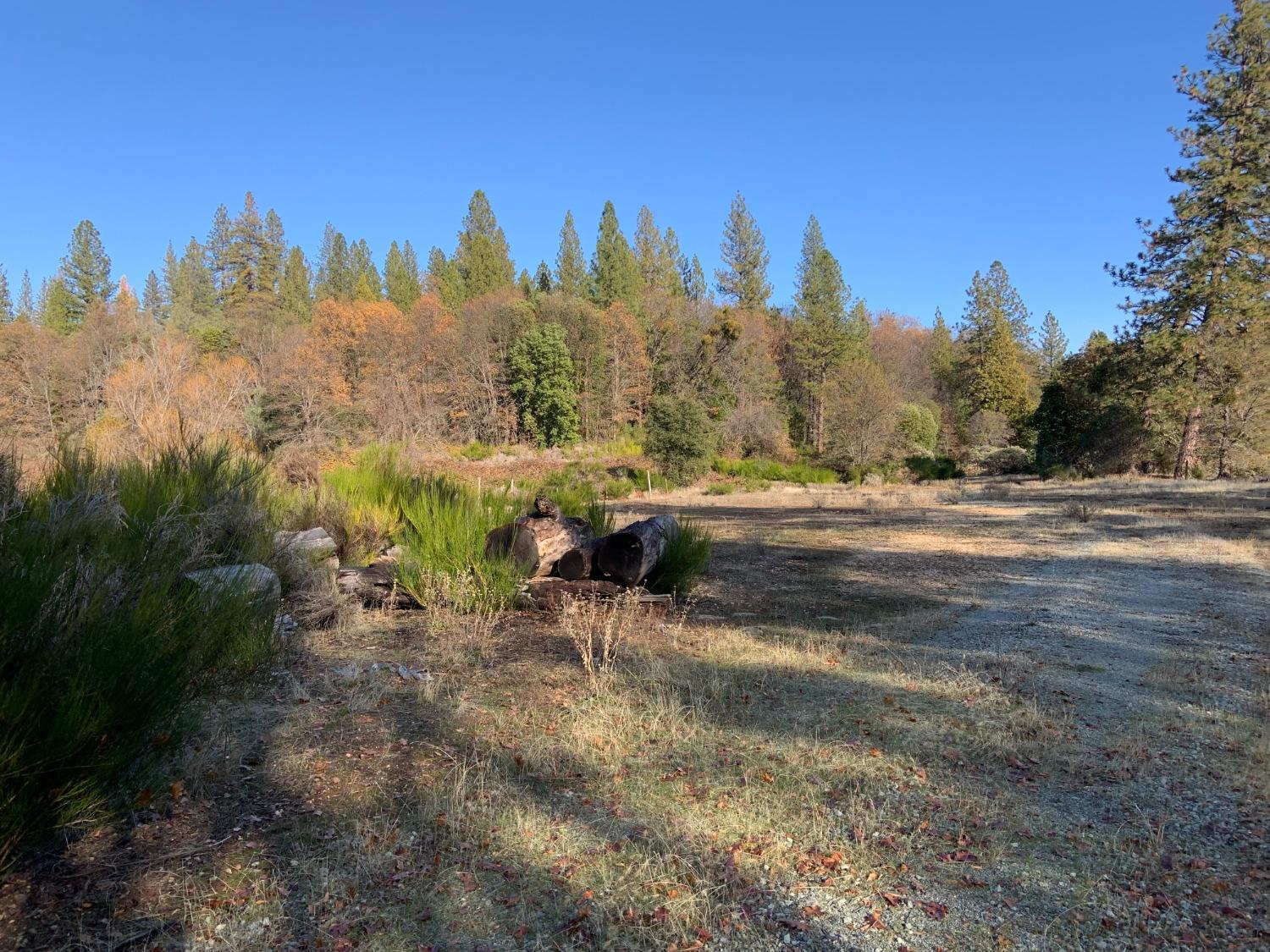 Detail Gallery Image 3 of 17 For 14317 Tyler Foote Rd, Nevada City,  CA 95959 - – Beds | – Baths