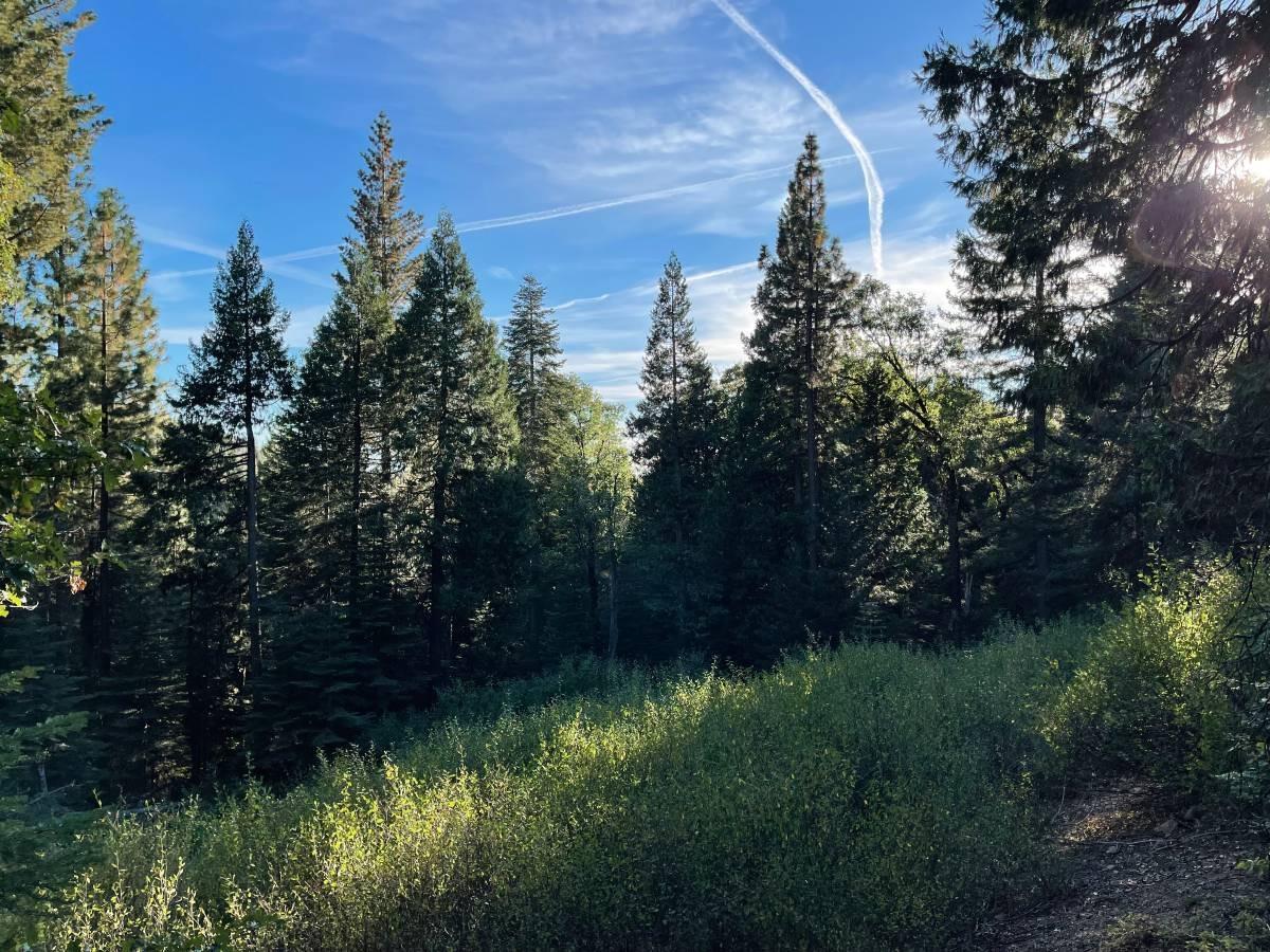 Photo of 26853 N Bloomfield-Graniteville Rd in Nevada City, CA