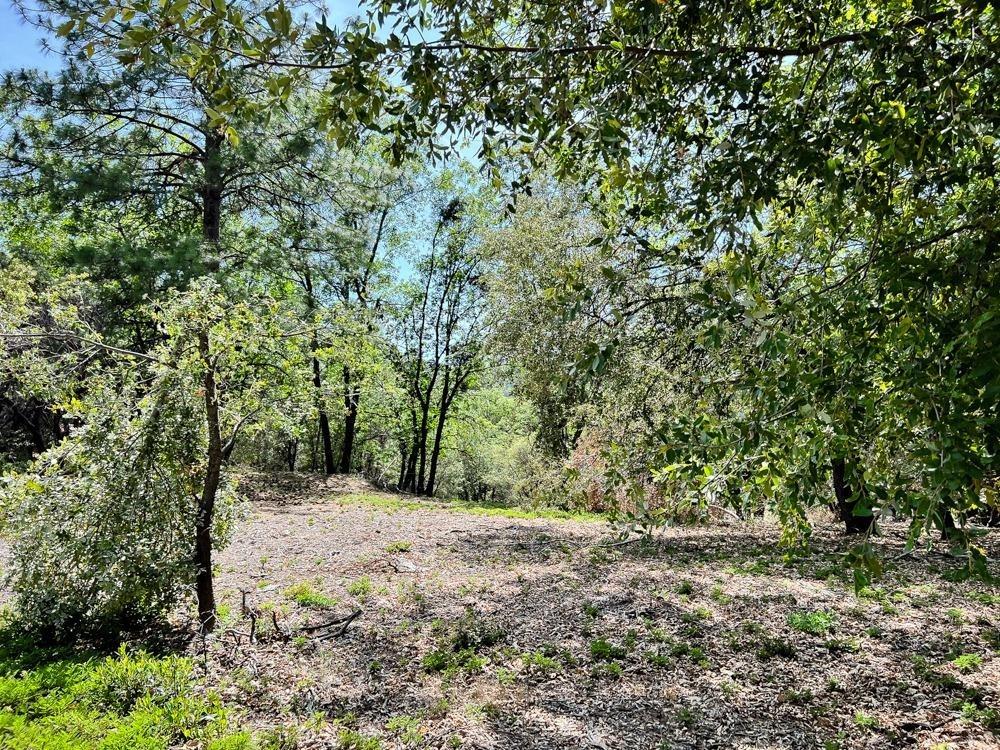 2.5 Acre Lot in Weimar with a wonderful opportunity for a multifamily situation. Two lots next door to each other both separate parcels for sale! 2.3 Acre Lot next door also for sale (MLS #222068539). Buy both for a total of 4.8 acres or just buy one!