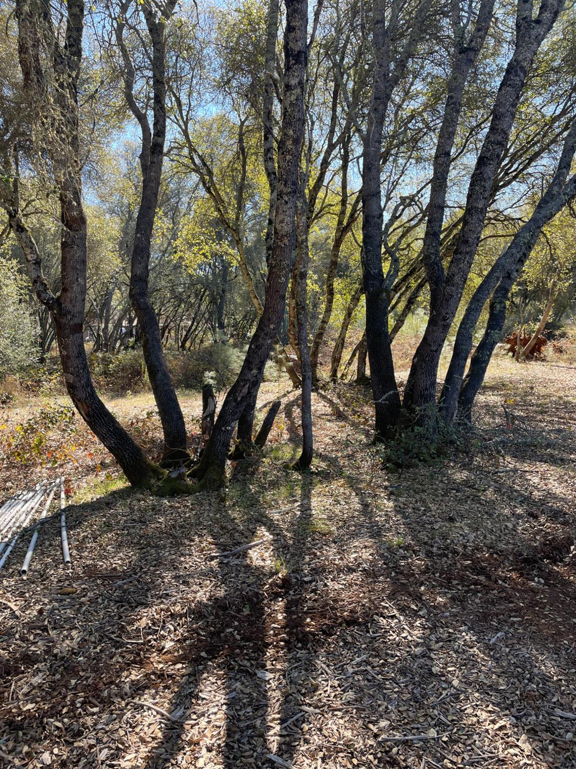 Photo of 5195 Deer Valley Rd in Rescue, CA