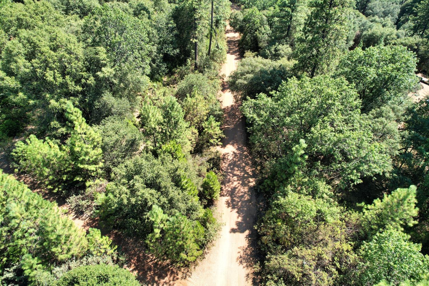 Cedar Hill Road, Rail Road Flat, California image 10