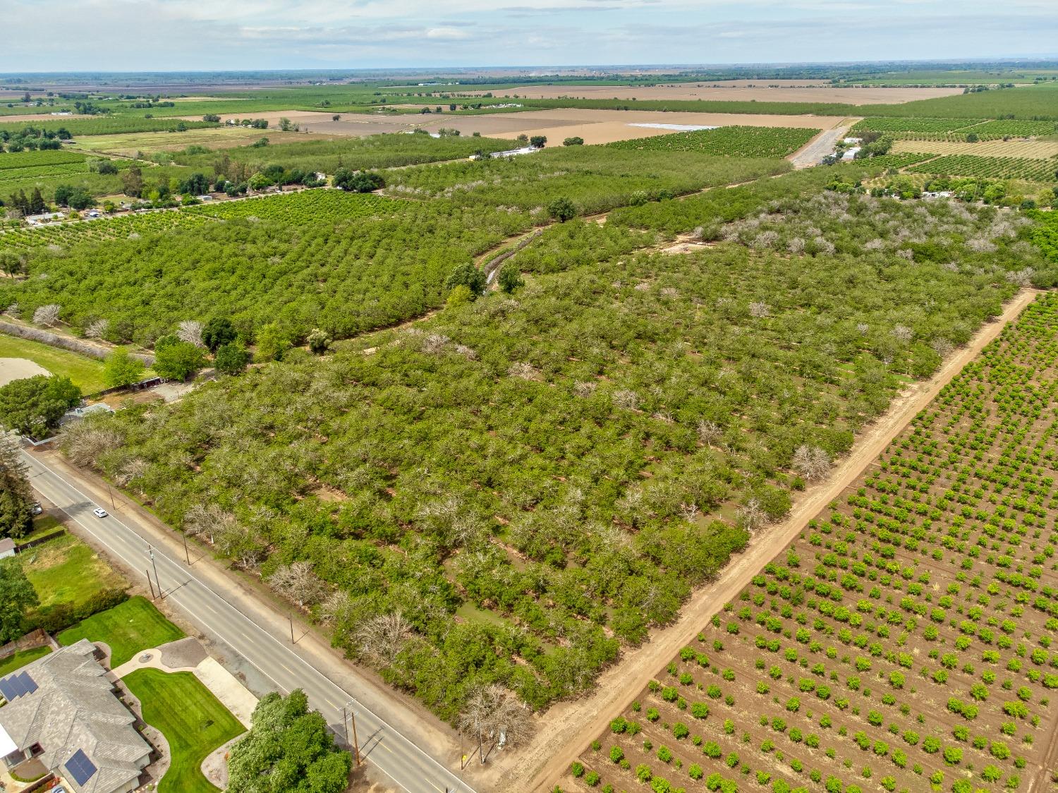 Pennington Rd/township Road, Live Oak, California image 3