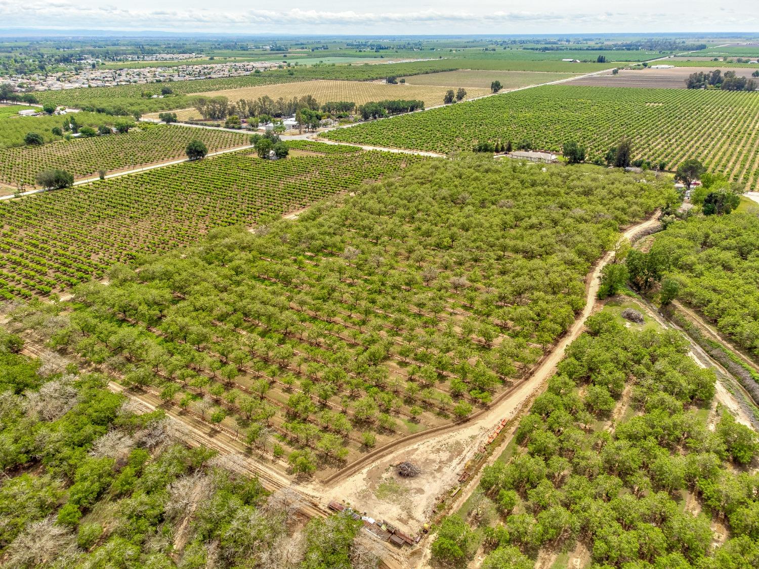 Pennington Rd/township Road, Live Oak, California image 6