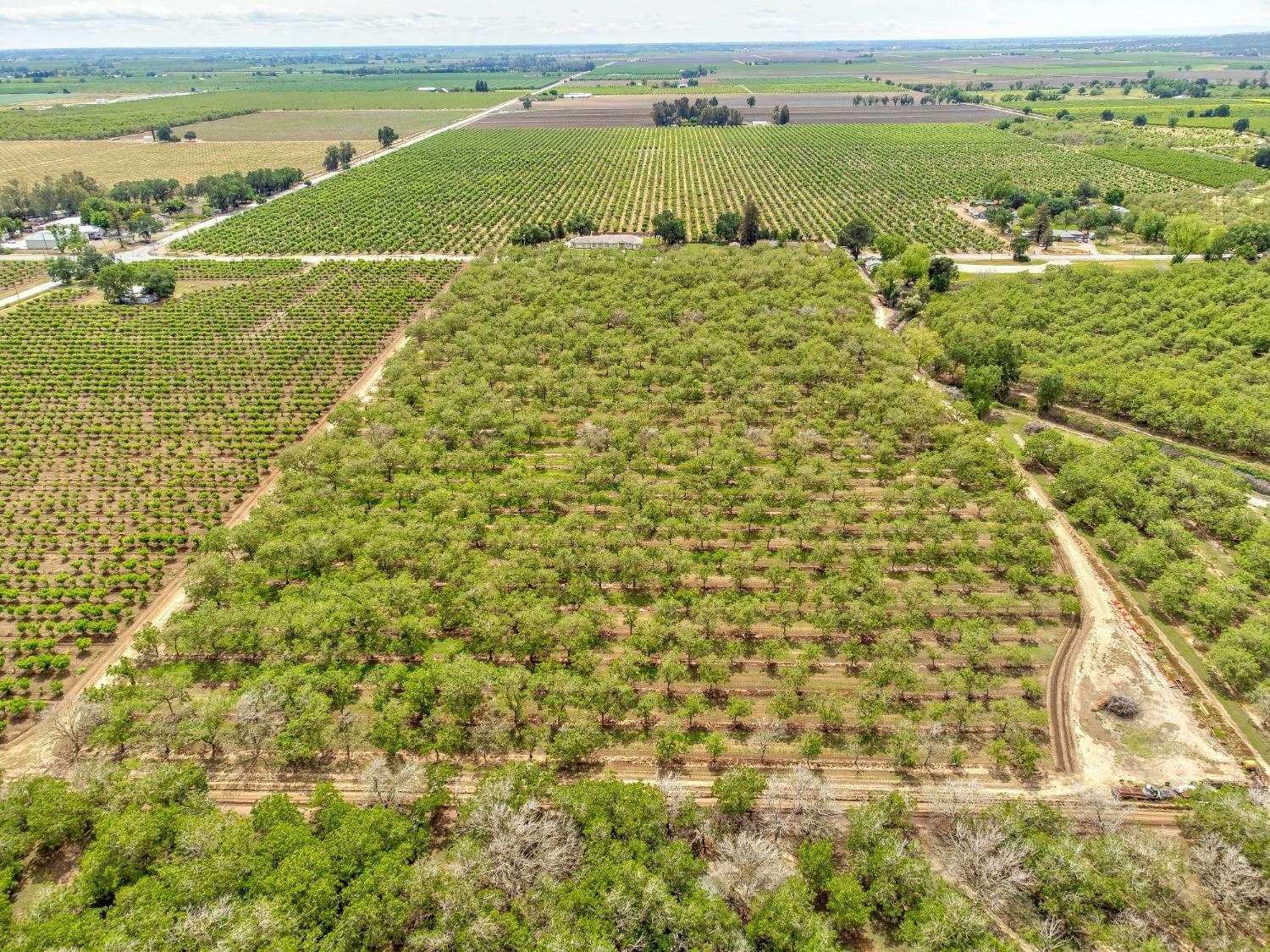 Pennington Rd/township Road, Live Oak, California image 5