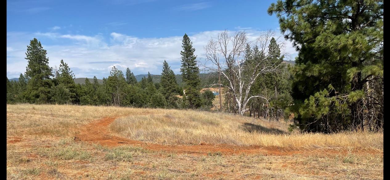 W Old Emigrant Trail, Mountain Ranch, California image 9