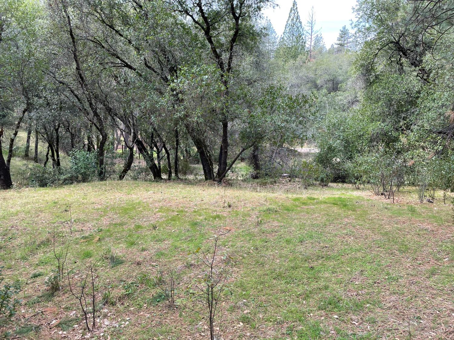 Photo of 1621 Coyote Dr in Murphys, CA