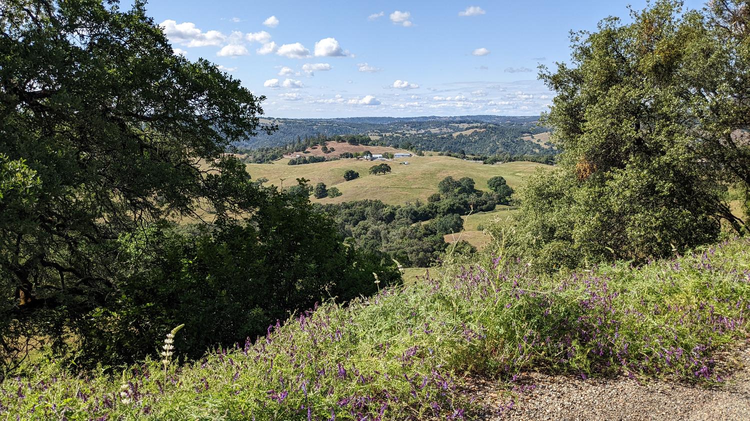 Campo Seco Turnpike, Mokelumne Hill, California image 4