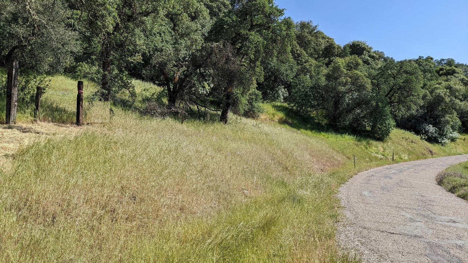 Campo Seco Turnpike, Mokelumne Hill, California image 1