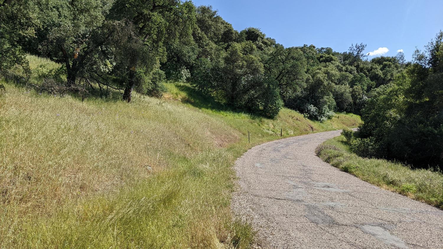 Campo Seco Turnpike, Mokelumne Hill, California image 2