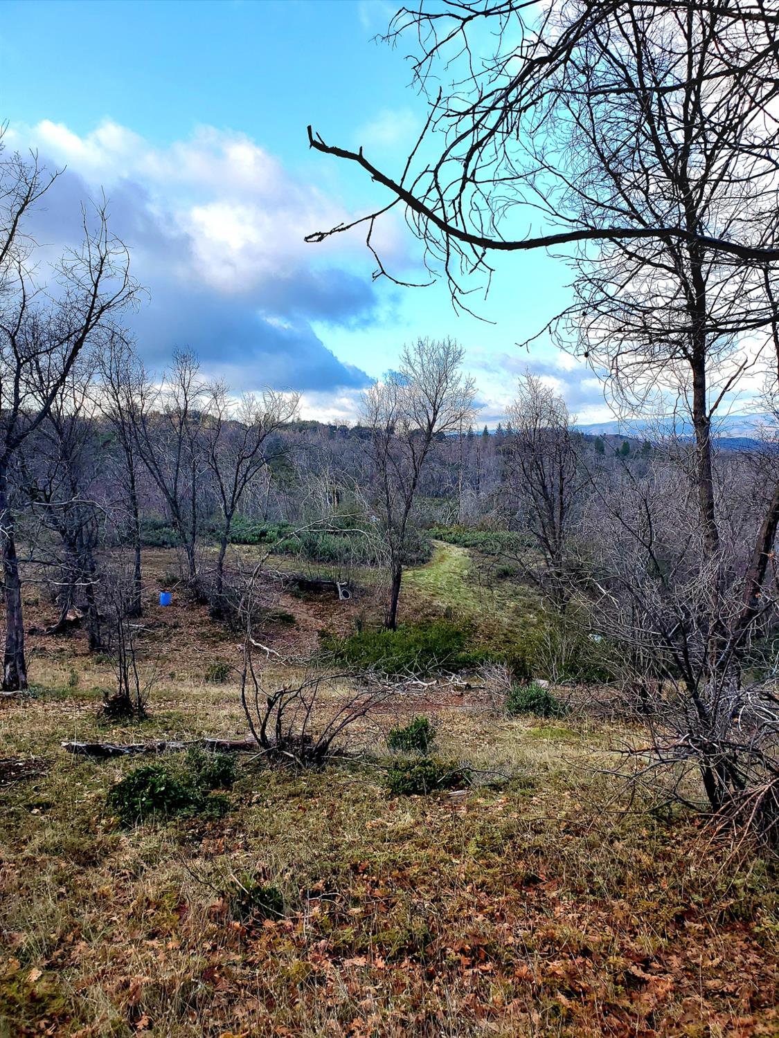 Doster Road, Mountain Ranch, California image 19