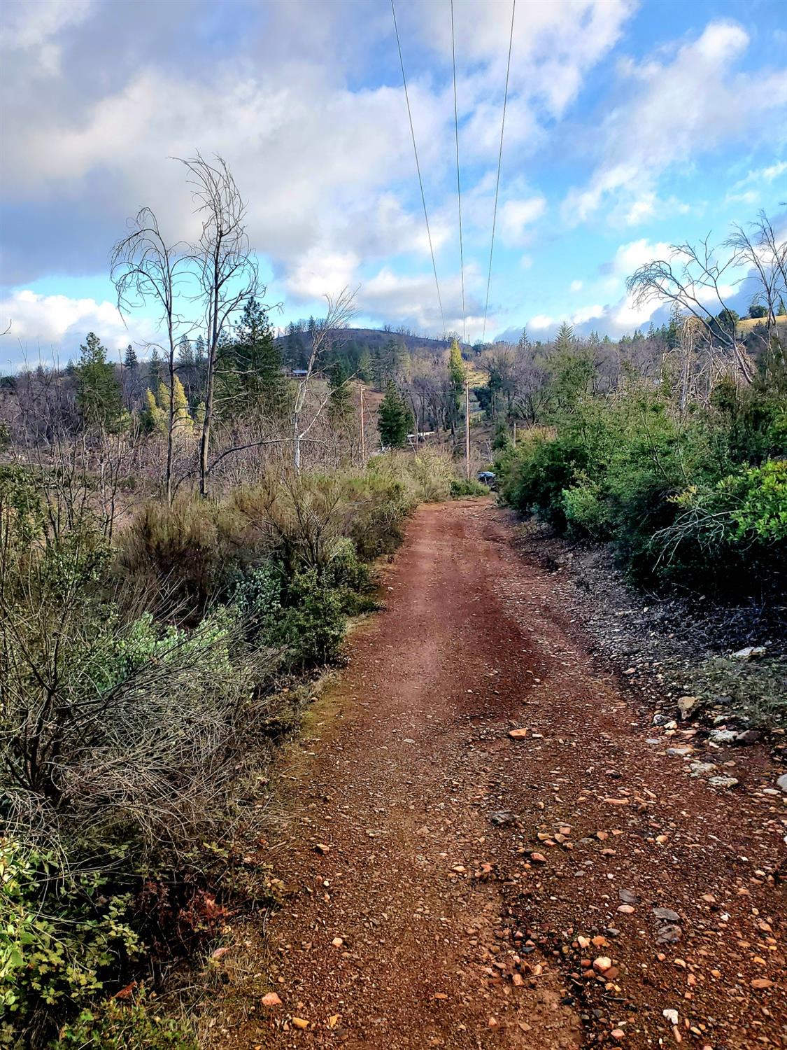 Doster Road, Mountain Ranch, California image 9