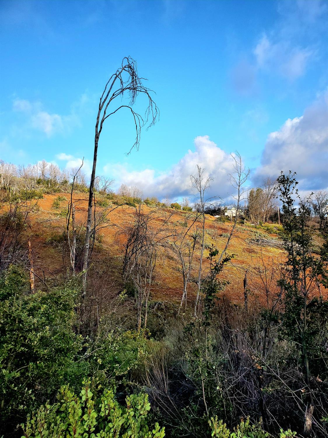 Doster Road, Mountain Ranch, California image 29