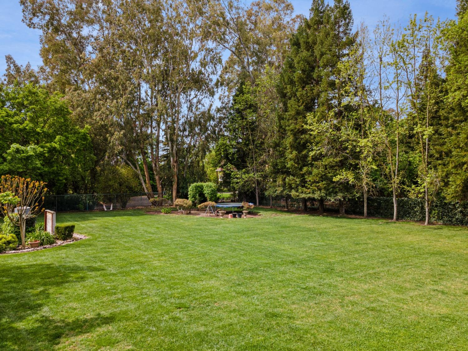 Detail Gallery Image 12 of 72 For 4899 Hildreth Ln, Stockton,  CA 95212 - 4 Beds | 2/1 Baths