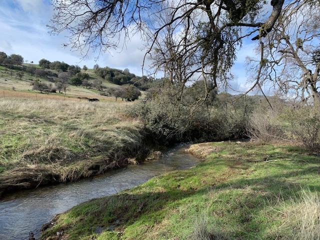 Highway 4, Angels Camp, California image 24